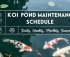 koi pond care routine