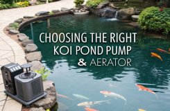 koi pond pump selection guide