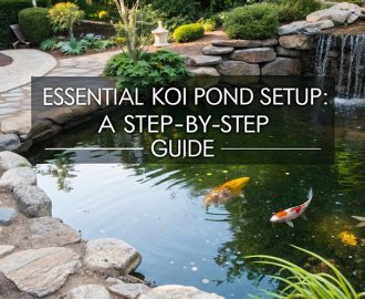 koi pond setup guide
