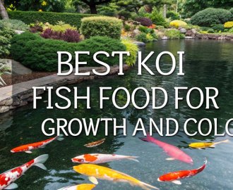 optimal koi nutrition guide