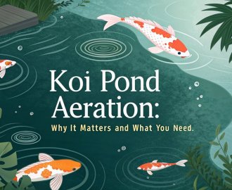importance of koi pond aeration
