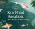 importance of koi pond aeration