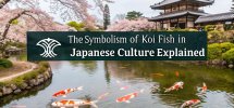 koi fish cultural significance