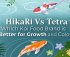 koi food brand comparison