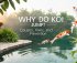 koi jumping causes and solutions