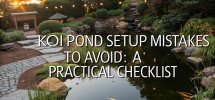 koi pond setup errors