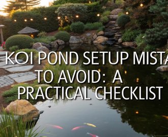 koi pond setup errors