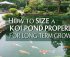 koi pond sizing guidelines