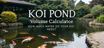 koi pond water calculation