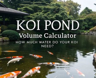 koi pond water calculation