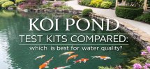 koi pond water quality comparison