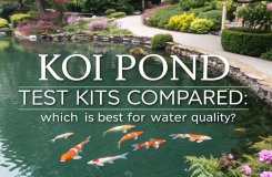 koi pond water quality comparison
