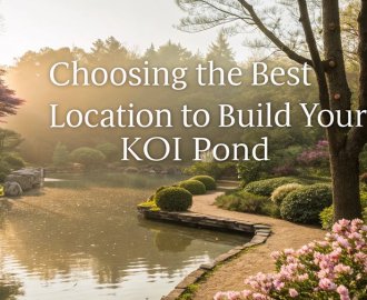 optimal site for koi pond