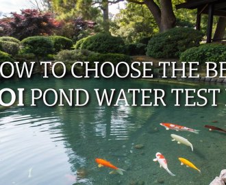 selecting ideal koi pond test