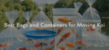 koi moving bag options