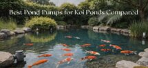 koi pond pump comparison