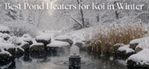 koi pond winter heaters