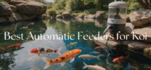 top automatic koi feeders